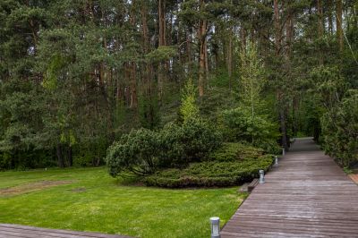 photo 68d4027eaf3e3_thumb.jpg