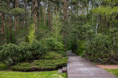 photo 68d4027fad7f2_thumb.jpg