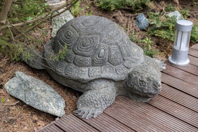 photo 68d4028171463_thumb.jpg