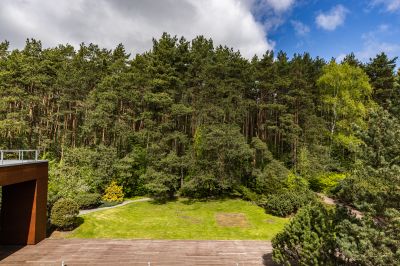 photo 68d402be304e7_thumb.jpg