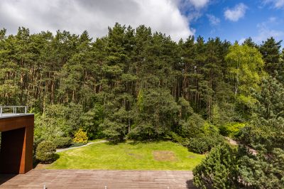 photo 68d402bf2c9ad_thumb.jpg