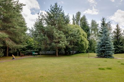 photo 68d51c039afa7_thumb.jpg