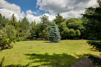 photo 68d51c0be2eb0_thumb.jpg