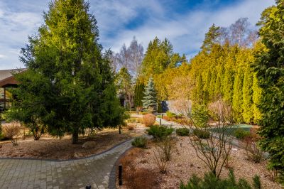 photo 68d65c7ee3dae_thumb.jpg