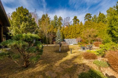 photo 68d65c80d8420_thumb.jpg