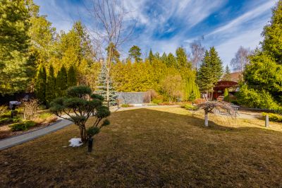 photo 68d65cd92717f_thumb.jpg