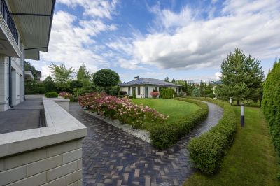 photo 68d67e34d455c_thumb.jpg