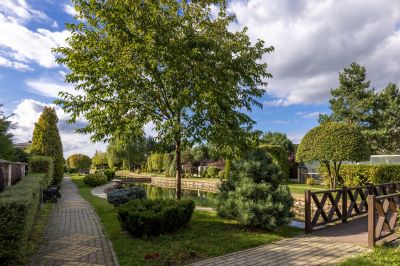 photo 68d67e4cc1182_thumb.jpg