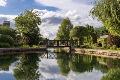 photo 68d67e4fe4f54_thumb.jpg