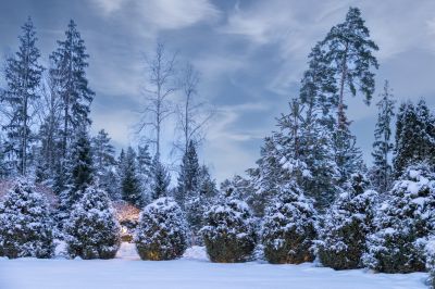 photo 68da393d8d1da_thumb.jpg