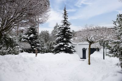 photo 68da39d9e539f_thumb.jpg