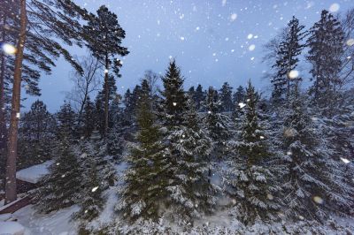 photo 68da3ce76e3a4_thumb.jpg