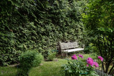 photo 68e64fcd49e17_thumb.jpg