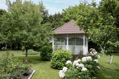 photo 68e64ffeb1a4a_thumb.jpg