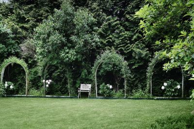 photo 68e6500095320_thumb.jpg