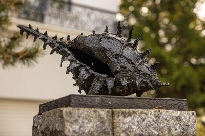 photo 68da42647fcde_thumb.jpg