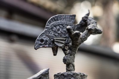 photo 68da4264cec8b_thumb.jpg