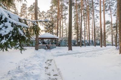 photo 68da42a993861_thumb.jpg