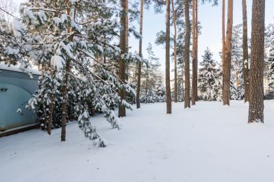 photo 68da42ab29032_thumb.jpg