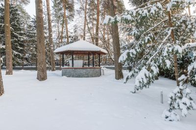 photo 68da42bab9de0_thumb.jpg