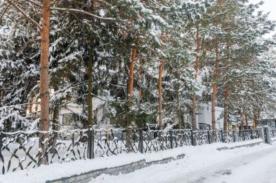 photo 68da42bda47de_thumb.jpg