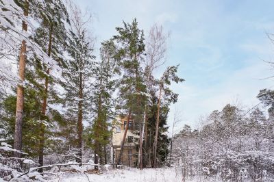 photo 68e64f56dba98_thumb.jpg