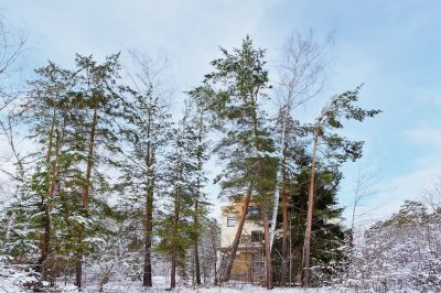 photo 68e64f57aba26_thumb.jpg