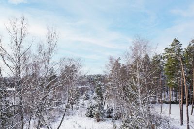 photo 68e64f5885056_thumb.jpg