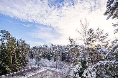 photo 68e64f5a33fe6_thumb.jpg