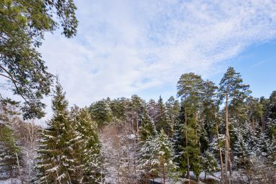 photo 68e64f5d9df3b_thumb.jpg