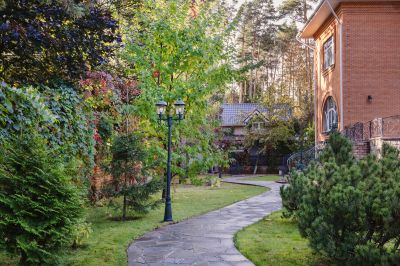 photo 68e64edfd5ad9_thumb.jpg