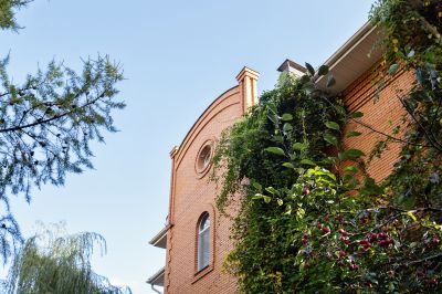 photo 68e64ee0bf22a_thumb.jpg