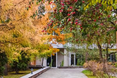 photo 68e64ee31c432_thumb.jpg