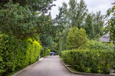 photo 68da4ba6cb4b8_thumb.jpg