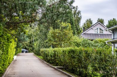 photo 68da4ba75a1d2_thumb.jpg