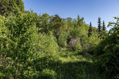 photo 68da4f79757bd_thumb.jpg