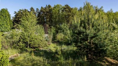 photo 68da4f7a1ba47_thumb.jpg