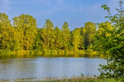 photo 68da5a1e61c7b_thumb.jpg