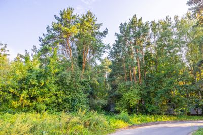 photo 68da5a1f99275_thumb.jpg