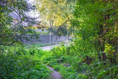 photo 68da5a21814f8_thumb.jpg