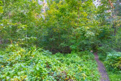 photo 68da5a3077a0a_thumb.jpg