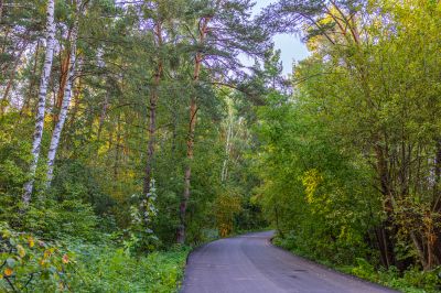 photo 68da5a317eb30_thumb.jpg