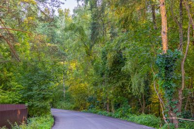 photo 68da5a328c8d6_thumb.jpg