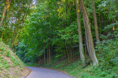 photo 68da5a539f26e_thumb.jpg