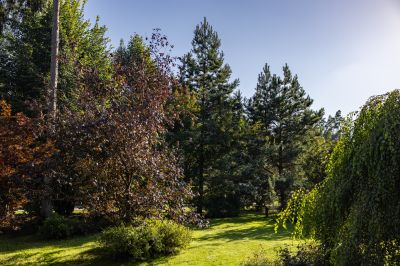 photo 68da6127391ed_thumb.jpg