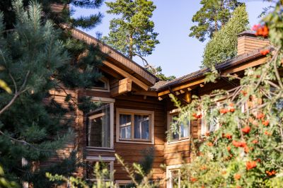 photo 68da613b0c458_thumb.jpg