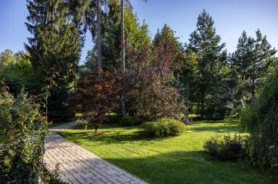 photo 68da616d15b6e_thumb.jpg