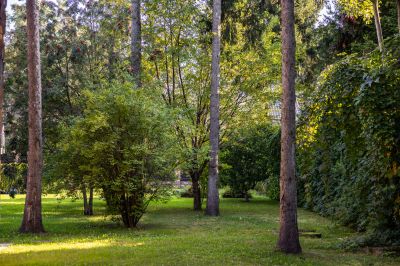 photo 68da616e10e8a_thumb.jpg