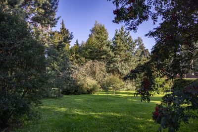 photo 68da616eecb69_thumb.jpg