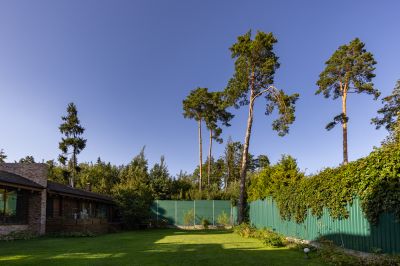 photo 68da61aaaeac8_thumb.jpg